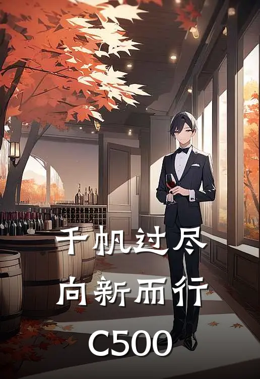 千帆过尽，向新而行C500