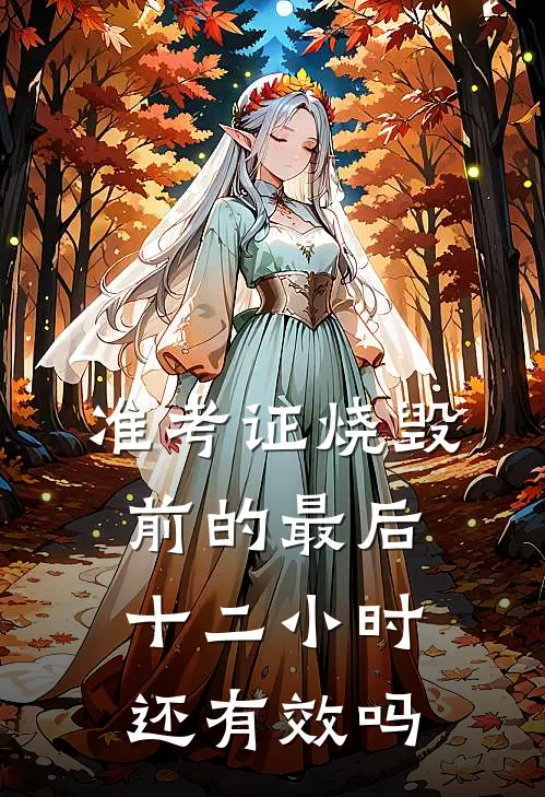 准考证烧毁前的最后十二小时还有效吗