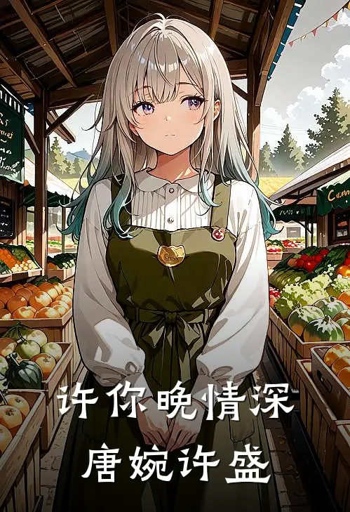 许你晚情深唐婉许盛